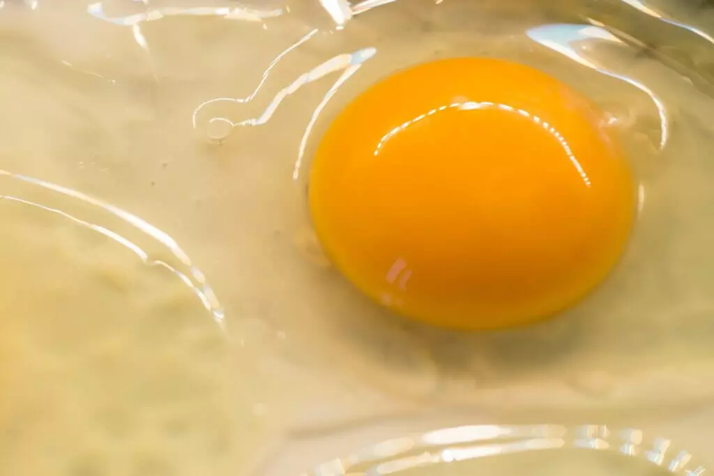 Como-armazenar-aproveitar-e-congelar-claras-e-gemas-de-ovos